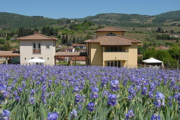Willa Casa Rosa Greve in Chianti Zewnętrze zdjęcie